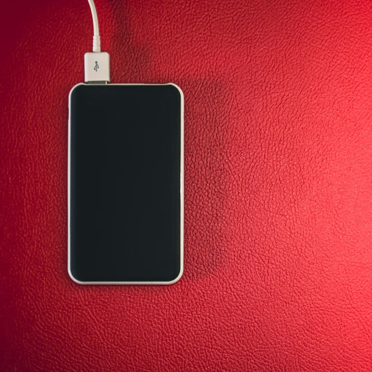 Fast Charger
